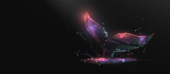 whale tail low polygonal wireframe linear and mesh vector image