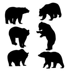 Bear Silhouette Vector Image