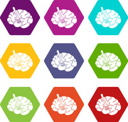 fork is inserted into the brain icon set color vector image