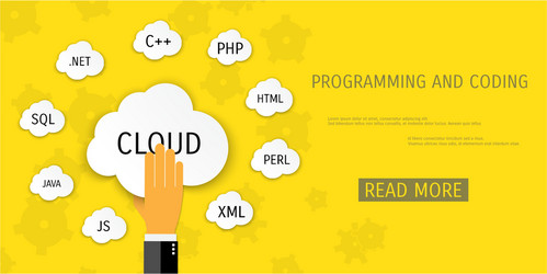 flat concept of programming and coding vector image
