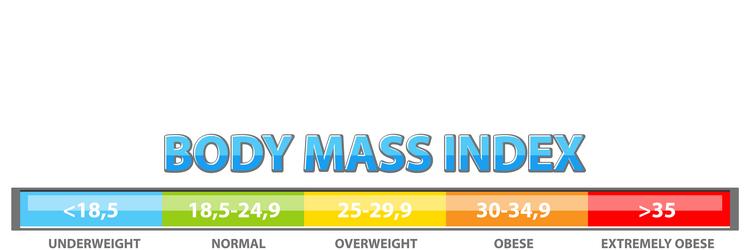 color-coded bmi categories and ranges vector image