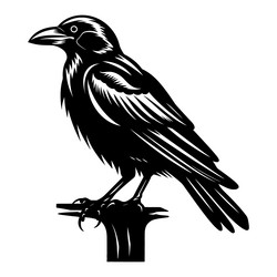 crow isolated silhouette Vector Image