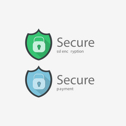 secure connection icon vector image