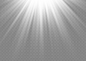 Sunlight isolated sun light effect golden Vector Image