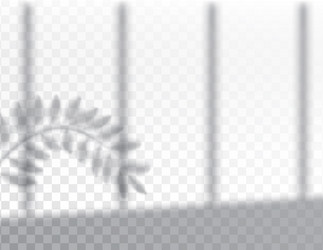shadow overlay effects mock up window frame vector image