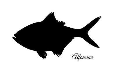 Silhouette of alfonsino fish vector