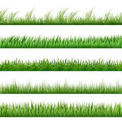 Green grass pattern set macro borders isolated vector