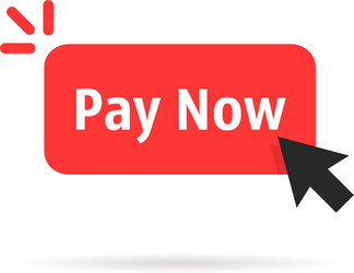 Red Pay Now Button - Isolated vector image