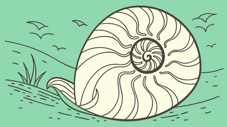 ammonite fossil on ground with snail ancient vector image