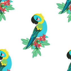 Tropical parrot pattern vector