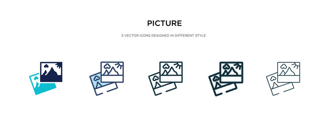 picture icon in different style two colored vector image