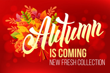 spring is coming Vector Image