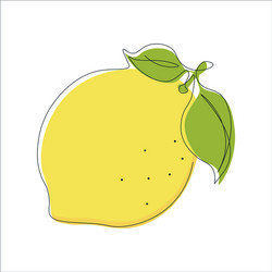 Continuous single line drawing lemon with color vector