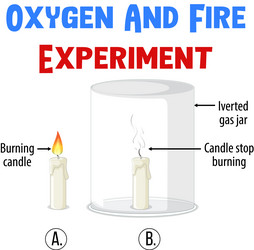 Science experiment with oxygen and fire Royalty Free Vector