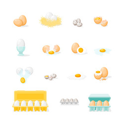 Cartoon color fresh and boiled eggs icons set vector