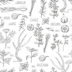 Herbs and spice seamless pattern Royalty Free Vector Image