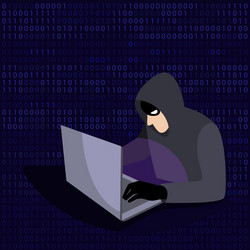 a hacker with laptop web crime password vector