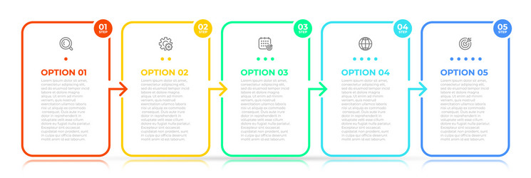 infographic elements thin line design with 5 steps vector image
