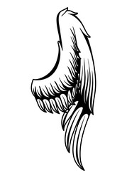 wings sketch stylized birds hand drawn Vector Image