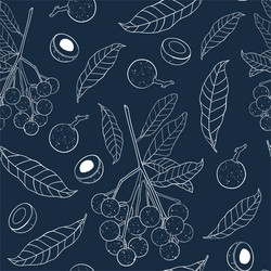 Outline seamless pattern with longan fruit branch vector