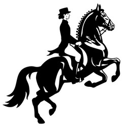 Elegant Dressage Rider Vector Image