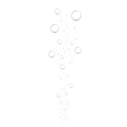 realistic underwater fizzing air bubbles isolated vector