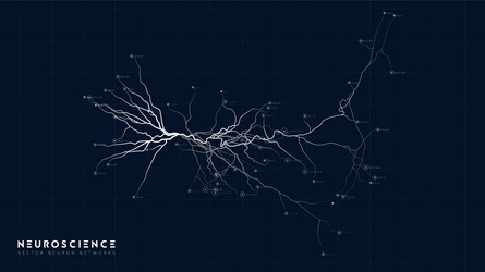 Neural Network Structure vector image