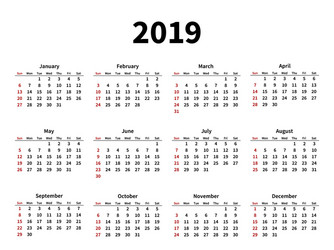 Calendar layout for 2019 year on white background vector