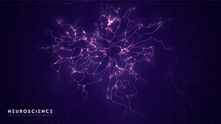 Neural Network Complex vector image