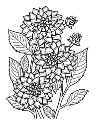 Dahlia Flower Coloring Page