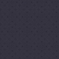 Intricate Ethnic Pattern vector image