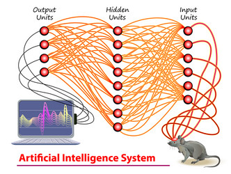 stylized deep neural networks activity in mouse vector