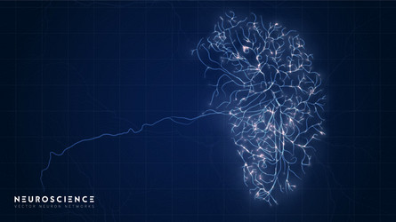 Complex Neural Network Model vector image
