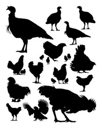Chicken and Turkey Silhouettes Vector Image