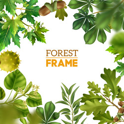 Deciduous Tree Branch Frame vector image