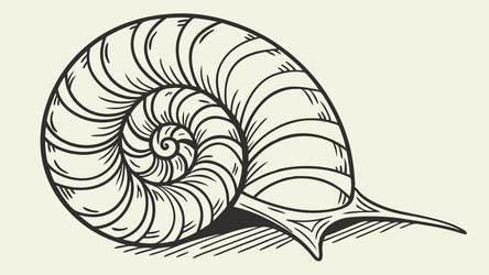 detailed snail shell design generative ai vector image