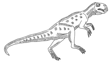 jurassic animal sketch hand drawn dinosaur Vector Image