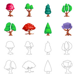 isolated object of tree and nature symbol vector image