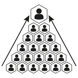 wireframe with levels of management pyramid team vector image