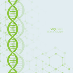 abstract background with dna molecule structure vector image