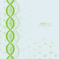 Abstract background with dna molecule structure vector