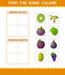 find same colors fruits searching and matching vector image