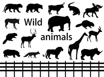 Set of wild animals and dogs Royalty Free Vector Image