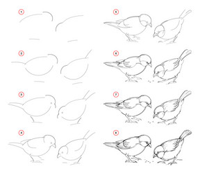 how to draw from nature step sketch vector image