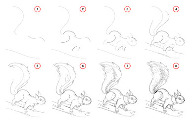 How to draw from nature step sketch vector