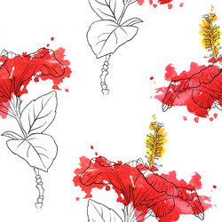 Hibiscus Floral Pattern Vector Image