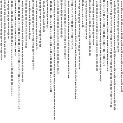 Binary Code Digital Network vector image