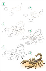 page shows how to learn step by draw vector image