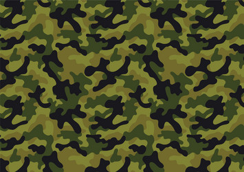 Seamless camouflage pattern military background Vector Image