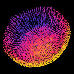 Complex Network Structure vector image